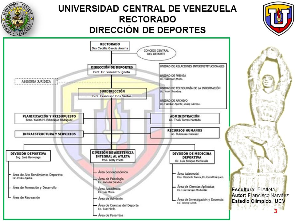 UNIVERSIDAD CENTRAL DE VENEZUELA RECTORADO DIRECCIÓN DE DEPORTES