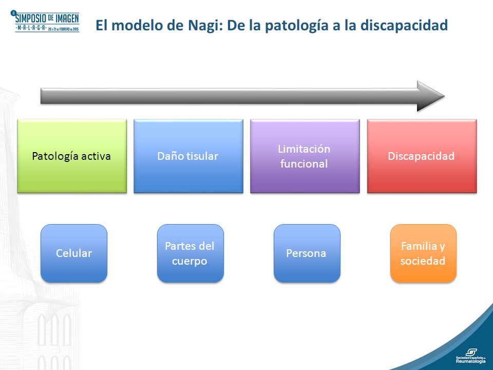 El modelo de Nagi: De la patología a la discapacidad