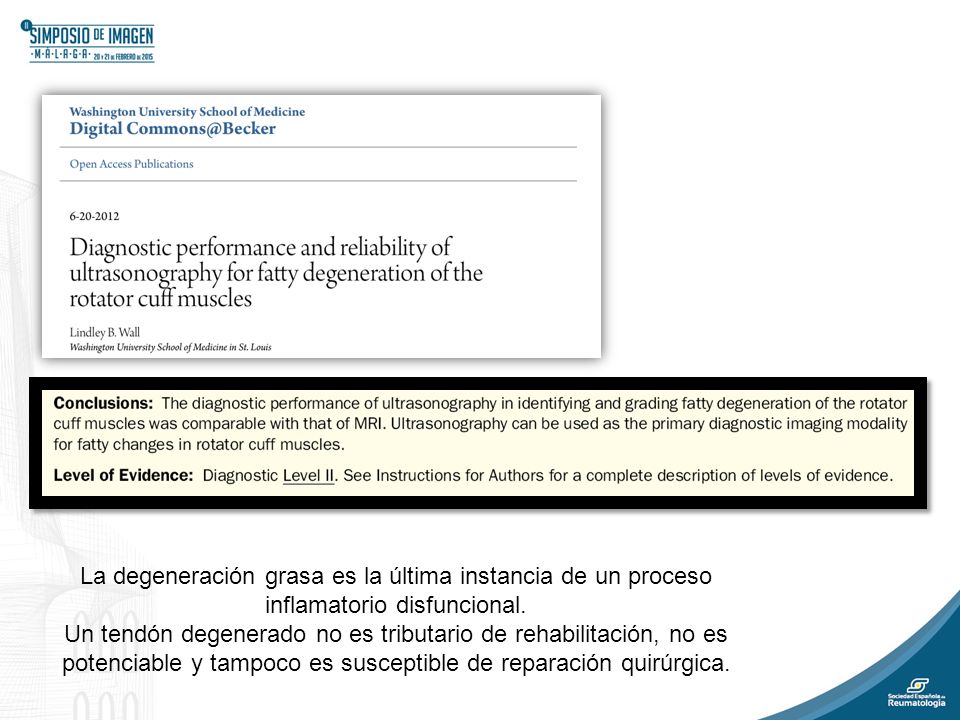 La degeneración grasa es la última instancia de un proceso inflamatorio disfuncional.