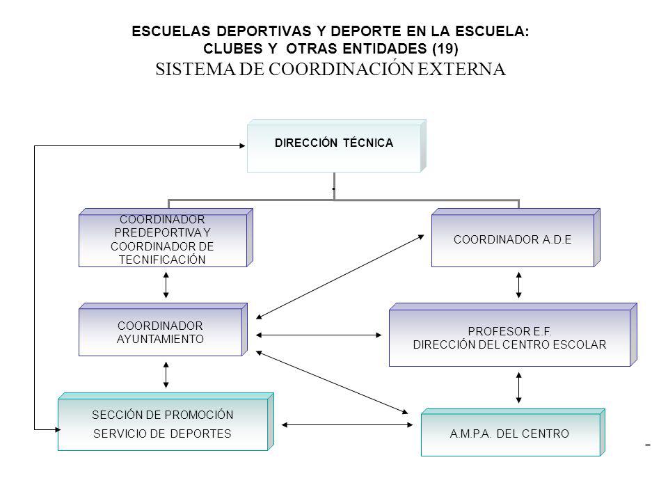 ESCUELAS DEPORTIVAS Y DEPORTE EN LA ESCUELA: CLUBES Y OTRAS ENTIDADES (19) SISTEMA DE COORDINACIÓN EXTERNA