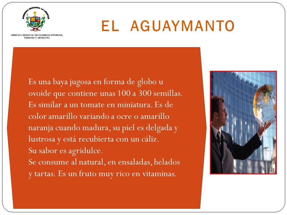 EL AGUAYMANTO Es una baya jugosa en forma de globo u ovoide que contiene unas 100 a 300 semillas.