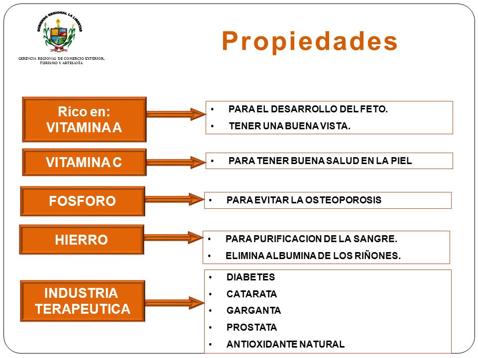 Propiedades Rico en: VITAMINA A VITAMINA C FOSFORO HIERRO INDUSTRIA