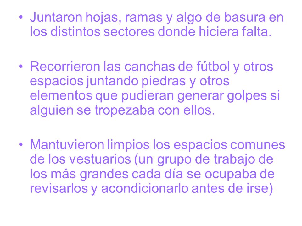 Juntaron hojas, ramas y algo de basura en los distintos sectores donde hiciera falta.