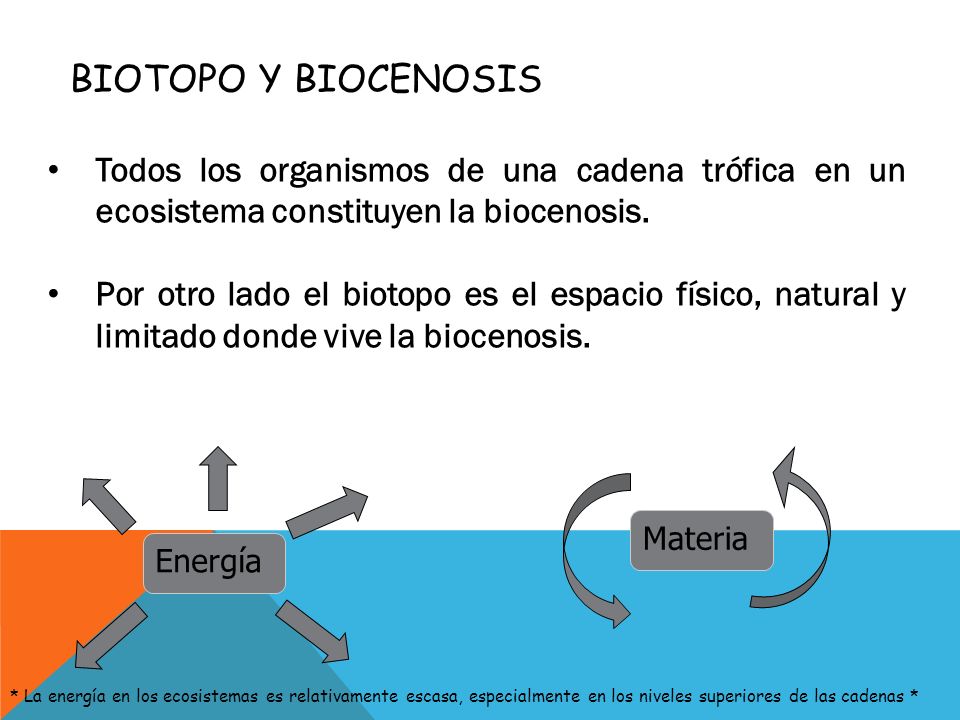Biotopo y biocenosis Todos los organismos de una cadena trófica en un ecosistema constituyen la biocenosis.
