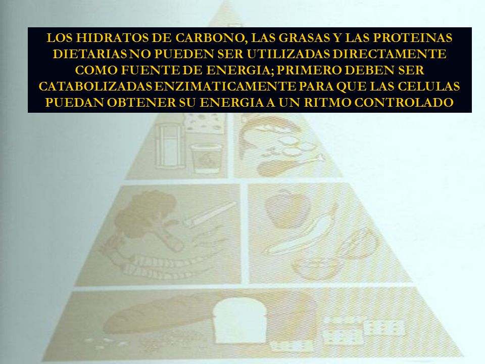 LOS HIDRATOS DE CARBONO, LAS GRASAS Y LAS PROTEINAS DIETARIAS NO PUEDEN SER UTILIZADAS DIRECTAMENTE COMO FUENTE DE ENERGIA; PRIMERO DEBEN SER CATABOLIZADAS ENZIMATICAMENTE PARA QUE LAS CELULAS PUEDAN OBTENER SU ENERGIA A UN RITMO CONTROLADO