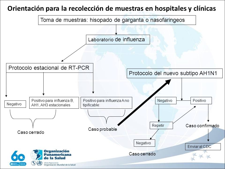 Orientación para la recolección de muestras en hospitales y clínicas