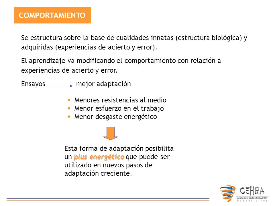 COMPORTAMIENTO Se estructura sobre la base de cualidades innatas (estructura biológica) y adquiridas (experiencias de acierto y error).