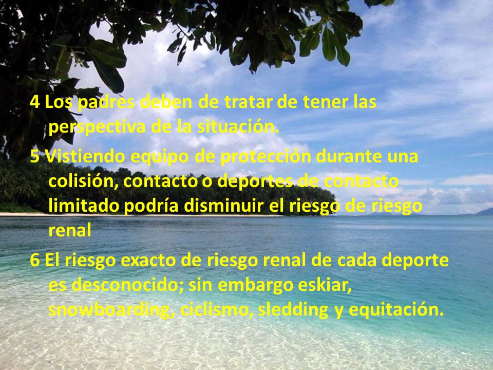 4 Los padres deben de tratar de tener las perspectiva de la situación