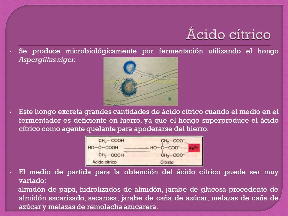 Ácido cítrico Se produce microbiológicamente por fermentación utilizando el hongo Aspergillus niger.