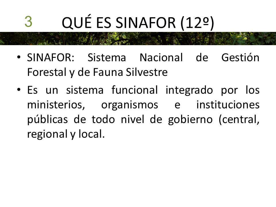 QUÉ ES SINAFOR (12º) 3. SINAFOR: Sistema Nacional de Gestión Forestal y de Fauna Silvestre.
