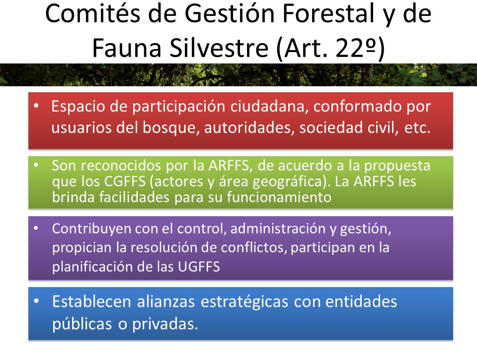 Comités de Gestión Forestal y de Fauna Silvestre (Art. 22º)