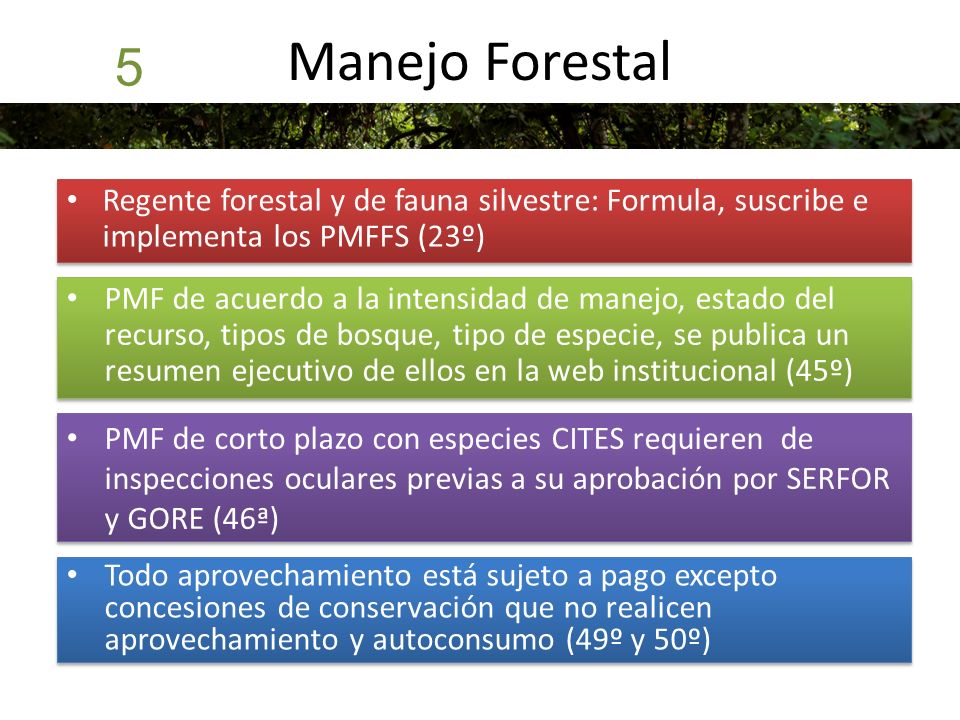 Manejo Forestal 5. Regente forestal y de fauna silvestre: Formula, suscribe e implementa los PMFFS (23º)