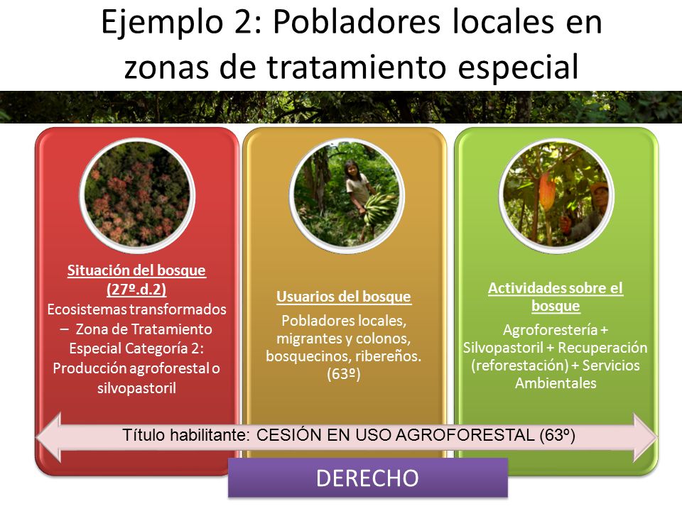 Ejemplo 2: Pobladores locales en zonas de tratamiento especial