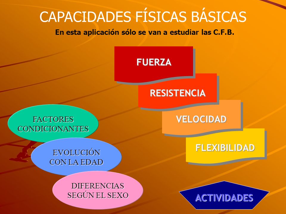 En esta aplicación sólo se van a estudiar las C.F.B.