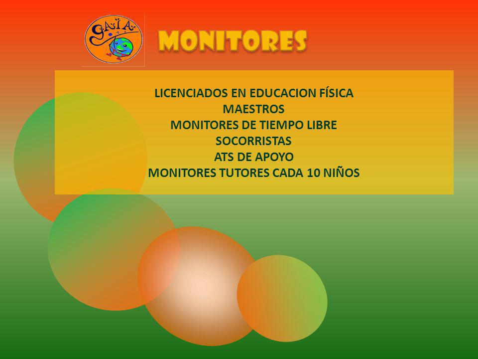 monitores LICENCIADOS EN EDUCACION FÍSICA MAESTROS