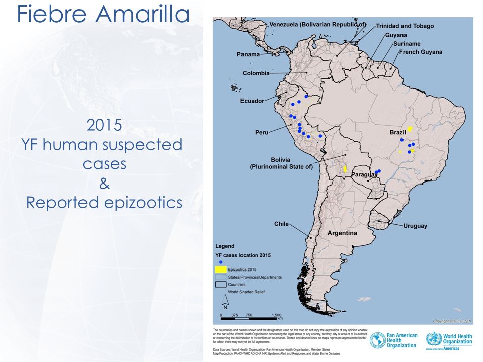 Dengue DENV permanece como uno de las más importante enfermedad arboviral globalmente.