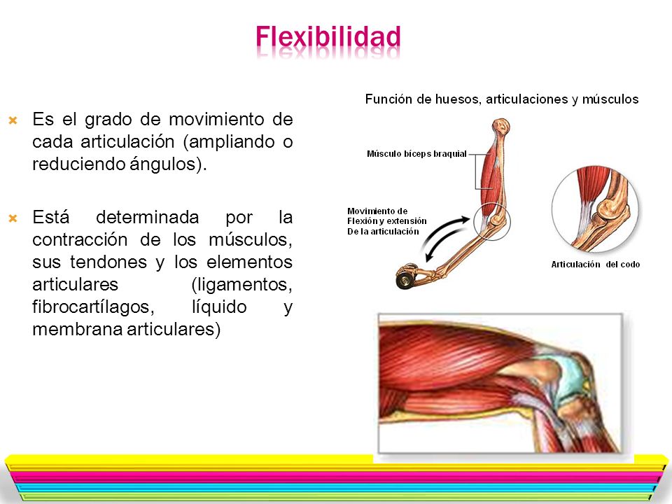 Flexibilidad Es el grado de movimiento de cada articulación (ampliando o reduciendo ángulos).