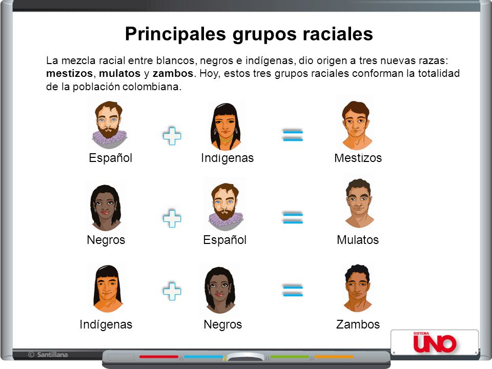 Principales grupos raciales