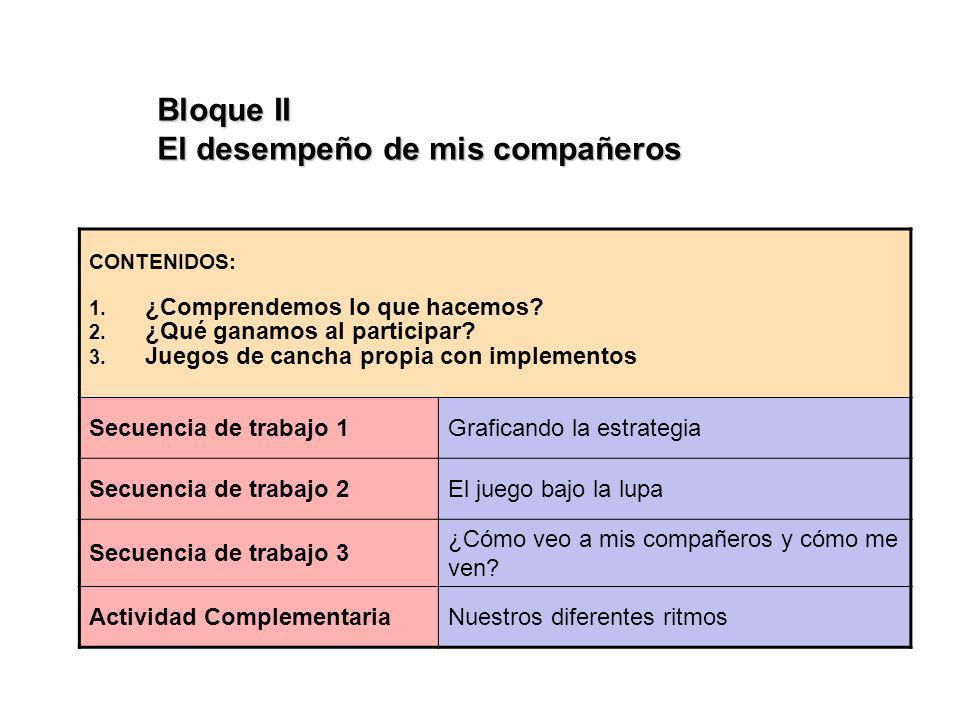 El desempeño de mis compañeros