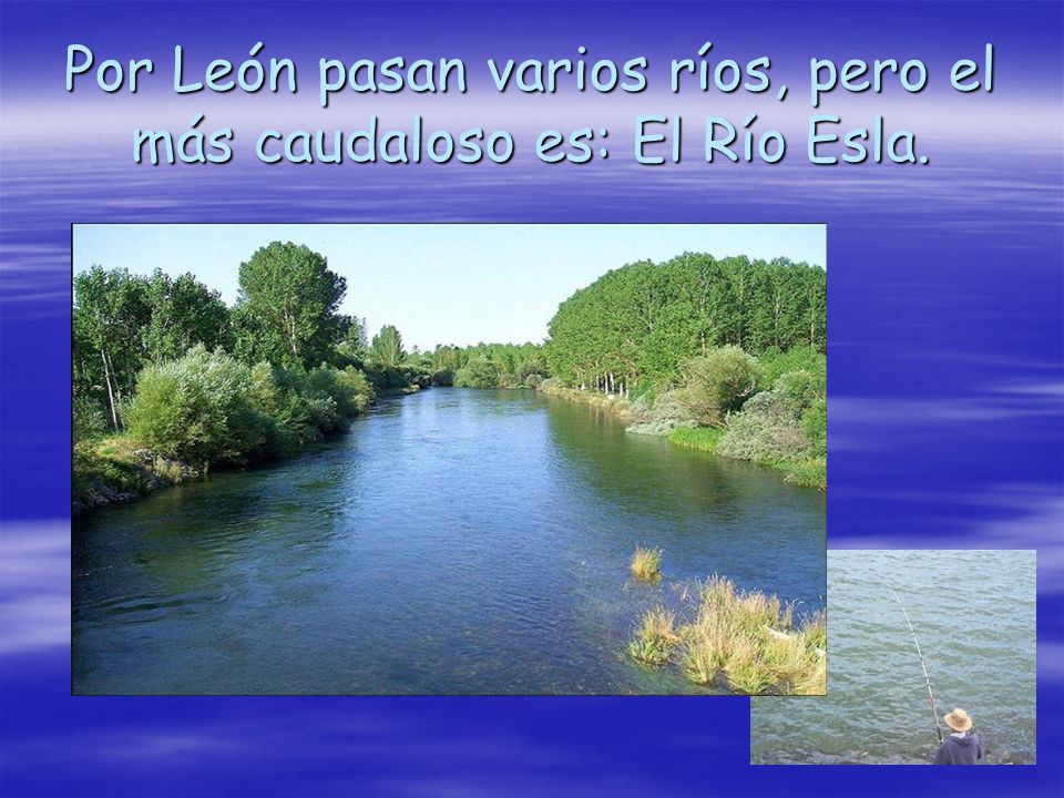 Por León pasan varios ríos, pero el más caudaloso es: El Río Esla.