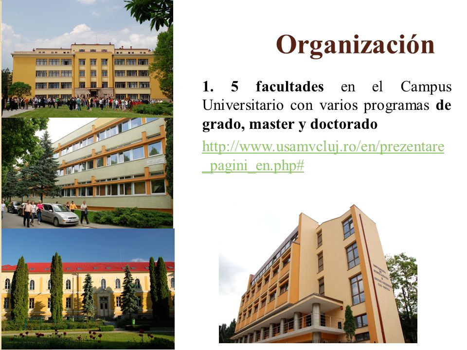 Organización 1. 5 facultades en el Campus Universitario con varios programas de grado, master y doctorado.