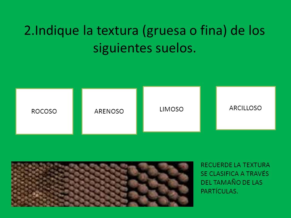 2.Indique la textura (gruesa o fina) de los siguientes suelos.