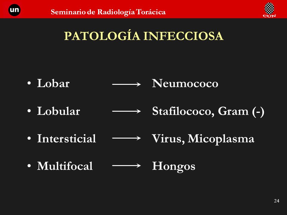 PATOLOGÍA INFECCIOSA Lobar. Lobular. Intersticial. Multifocal. Neumococo. Stafilococo, Gram (-)