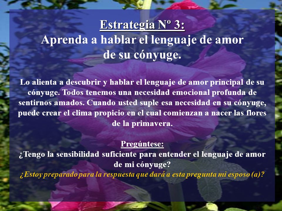 Estrategia Nº 3: Aprenda a hablar el lenguaje de amor de su cónyuge.