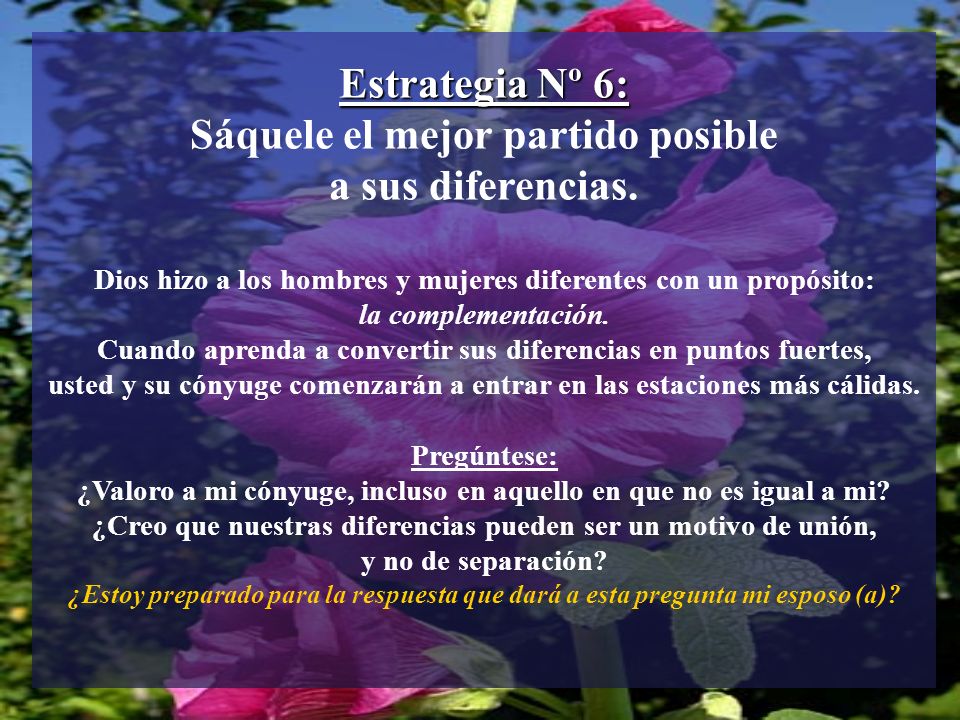 Estrategia Nº 6: Sáquele el mejor partido posible a sus diferencias.