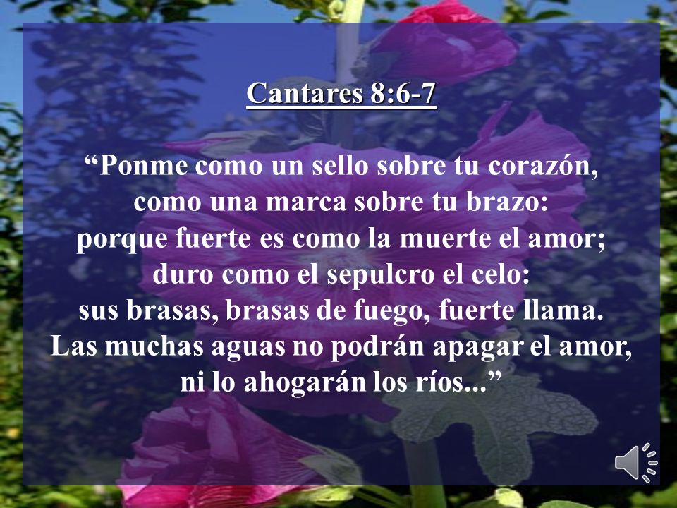 Ponme como un sello sobre tu corazón, como una marca sobre tu brazo: