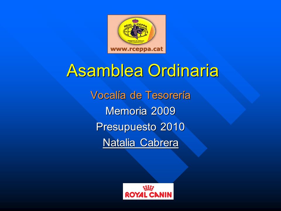 Vocalía de Tesorería Memoria 2009 Presupuesto 2010 Natalia Cabrera