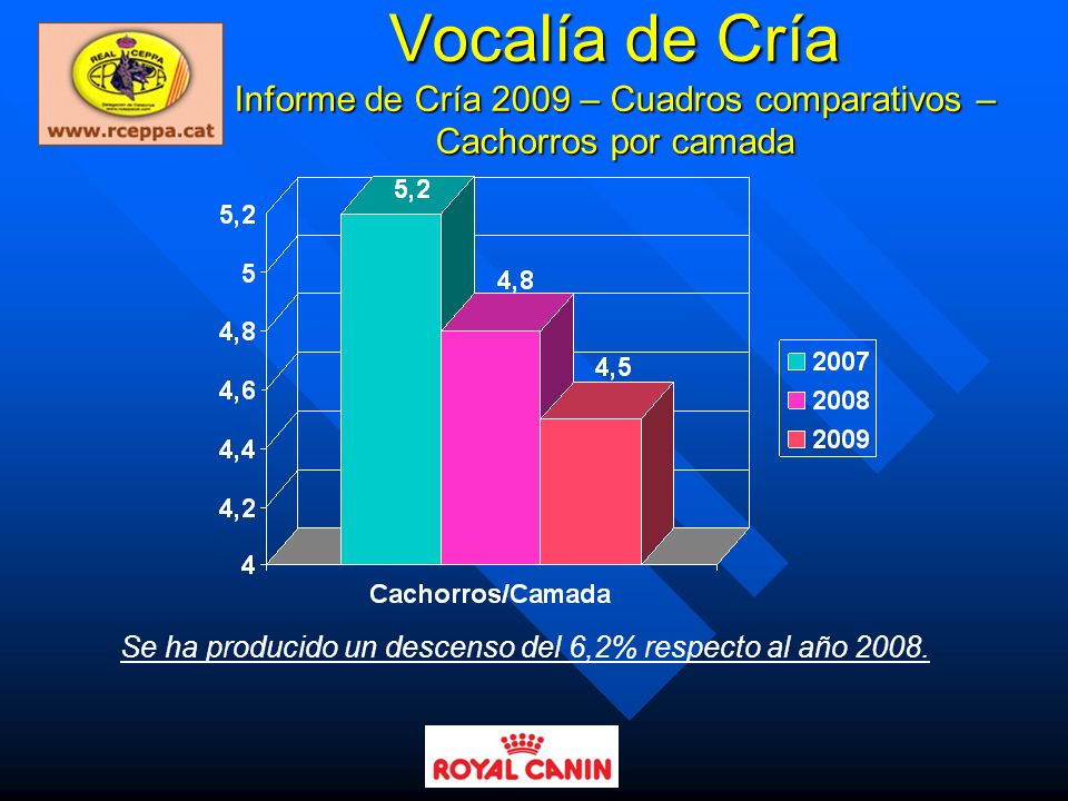 Se ha producido un descenso del 6,2% respecto al año 2008.