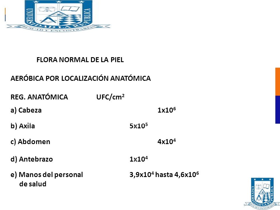 FLORA NORMAL DE LA PIEL AERÓBICA POR LOCALIZACIÓN ANATÓMICA. REG. ANATÓMICA UFC/cm2. a) Cabeza 1x106.