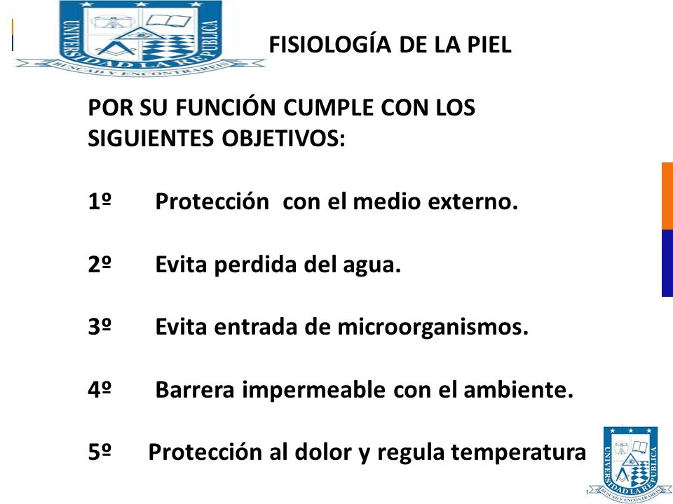 FISIOLOGÍA DE LA PIEL POR SU FUNCIÓN CUMPLE CON LOS. SIGUIENTES OBJETIVOS: 1º Protección con el medio externo.