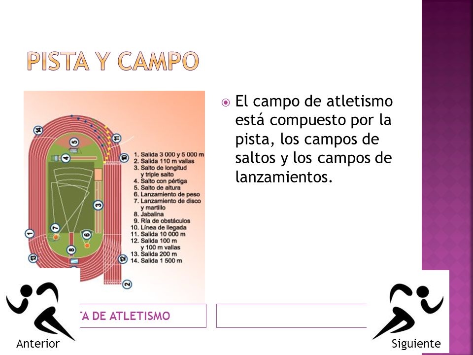 PISTA Y CAMPO El campo de atletismo está compuesto por la pista, los campos de saltos y los campos de lanzamientos.