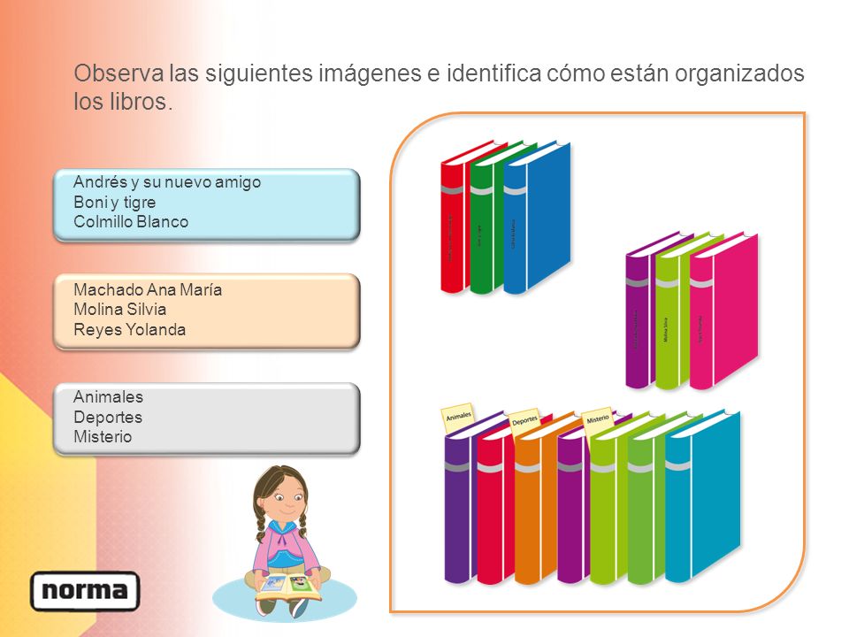 Observa las siguientes imágenes e identifica cómo están organizados