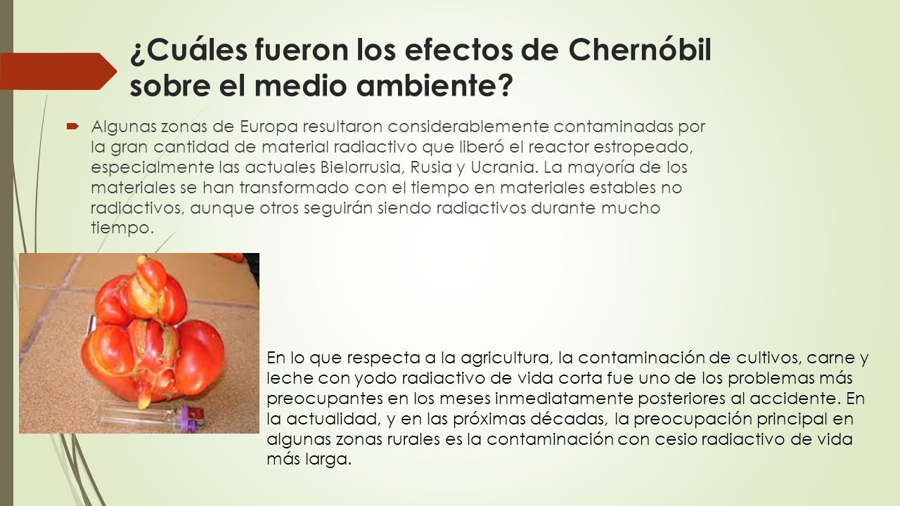 ¿Cuáles fueron los efectos de Chernóbil sobre el medio ambiente