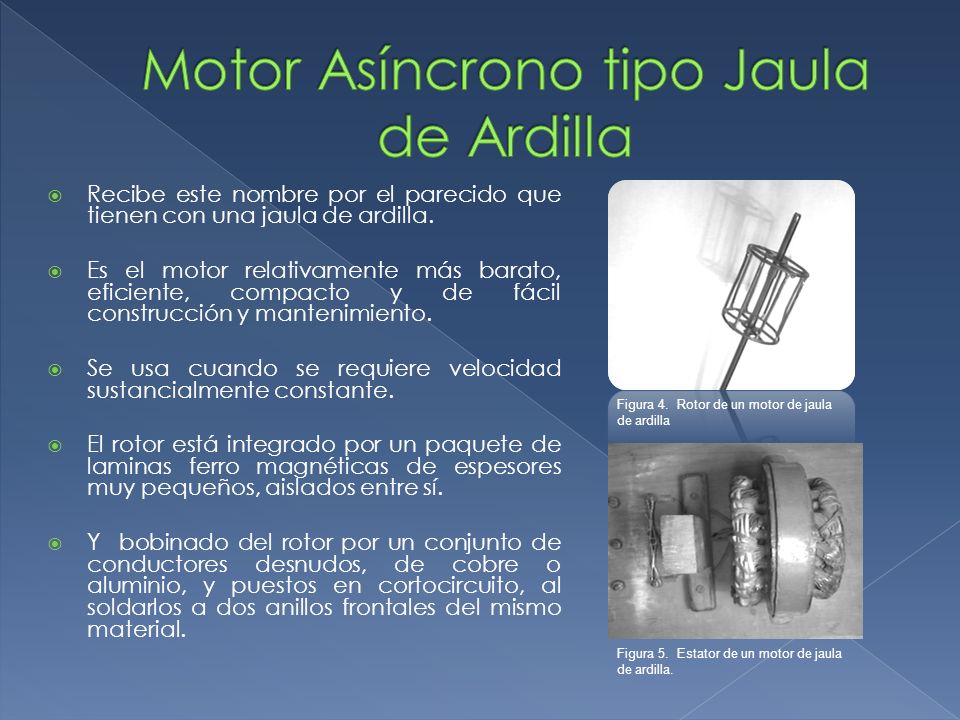 Motor Asíncrono tipo Jaula de Ardilla