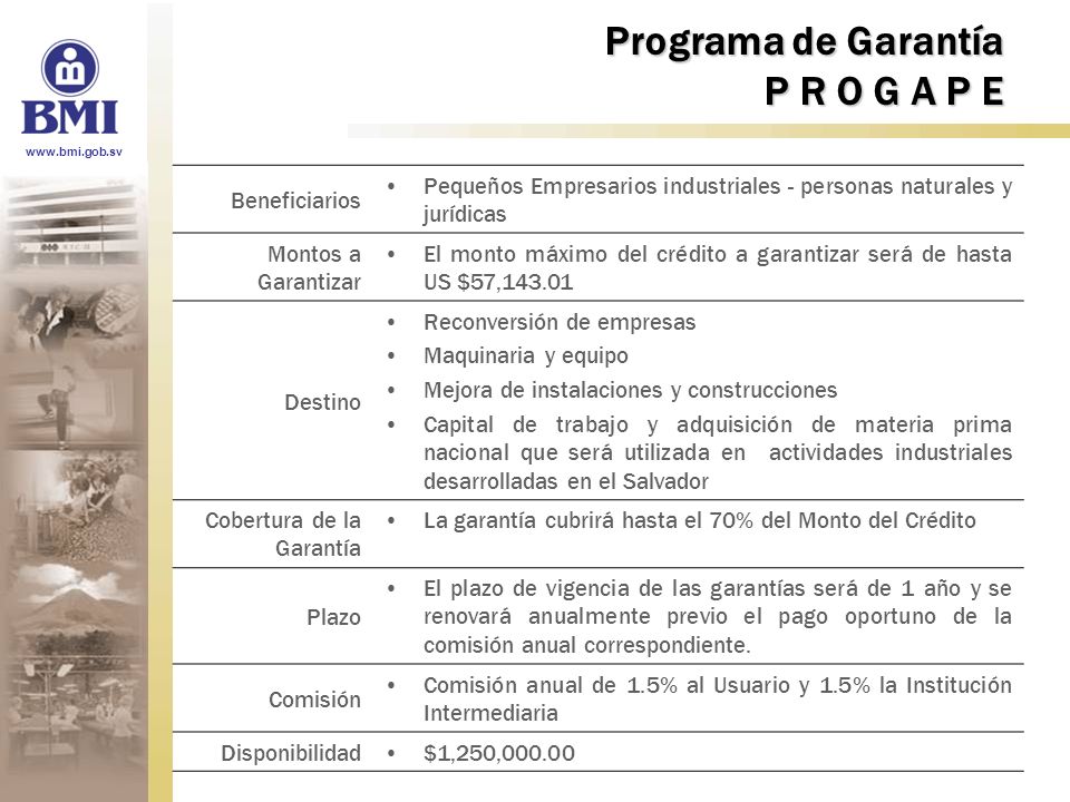 Programa de Garantía P R O G A P E