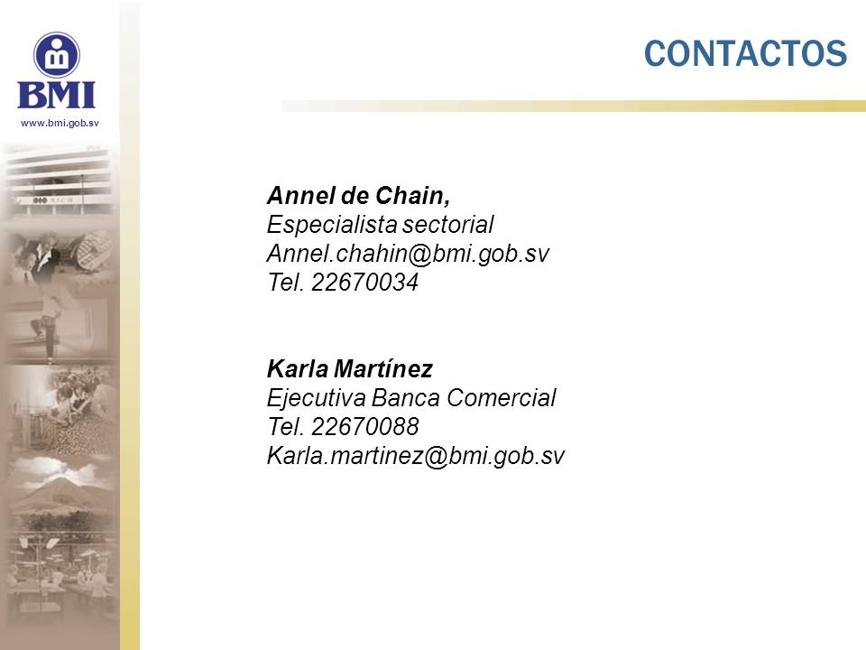 CONTACTOS Annel de Chain, Especialista sectorial