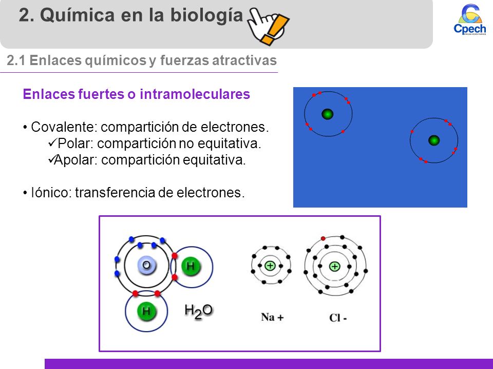 2. Química en la biología 2.1 Enlaces químicos y fuerzas atractivas
