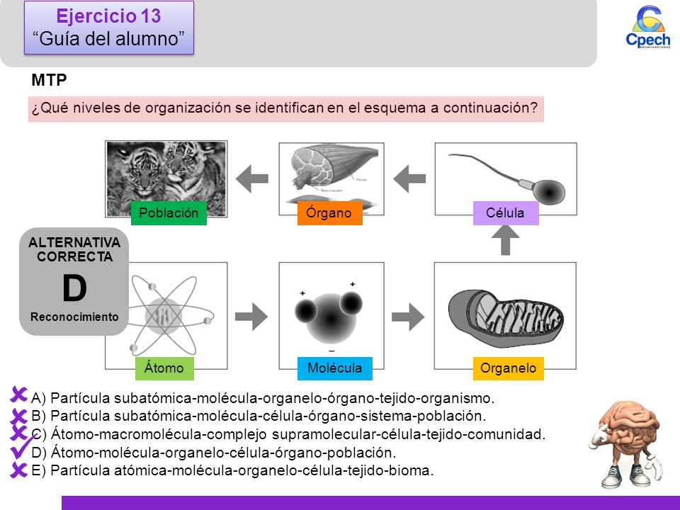  D     Ejercicio 13 Guía del alumno MTP