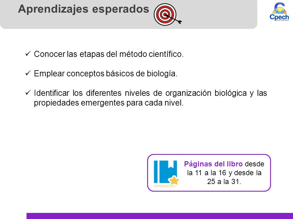Páginas del libro desde la 11 a la 16 y desde la 25 a la 31.