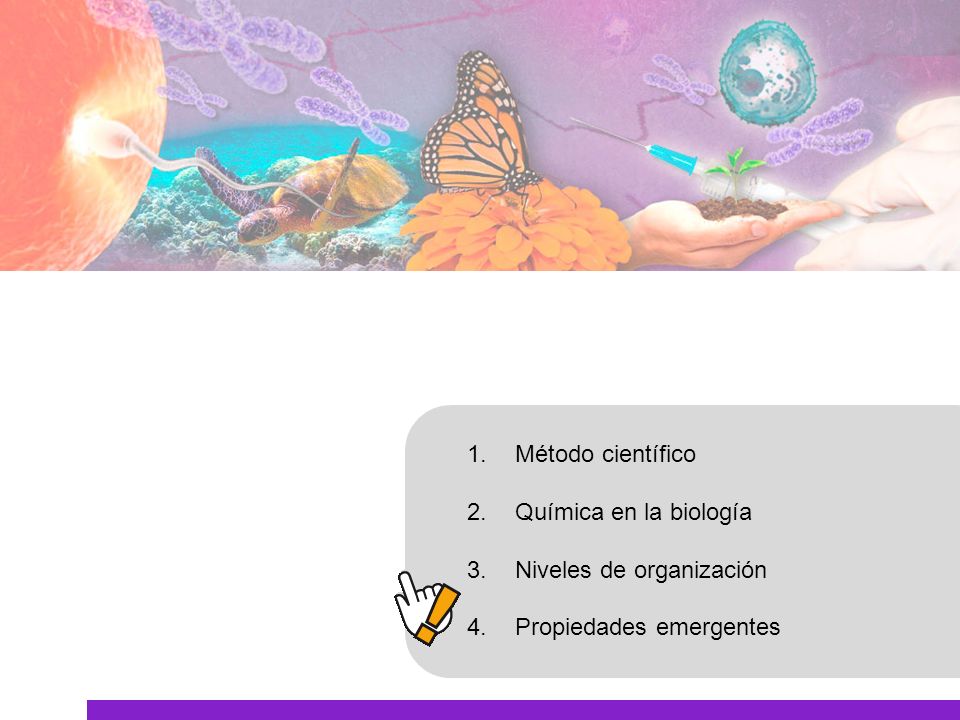 Método científico Química en la biología Niveles de organización Propiedades emergentes