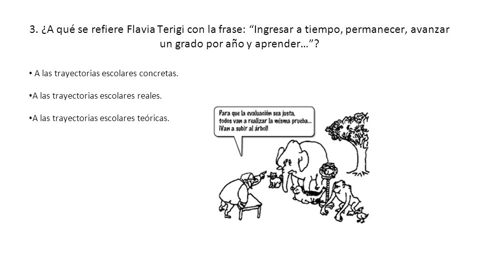 3. ¿A qué se refiere Flavia Terigi con la frase: Ingresar a tiempo, permanecer, avanzar un grado por año y aprender…
