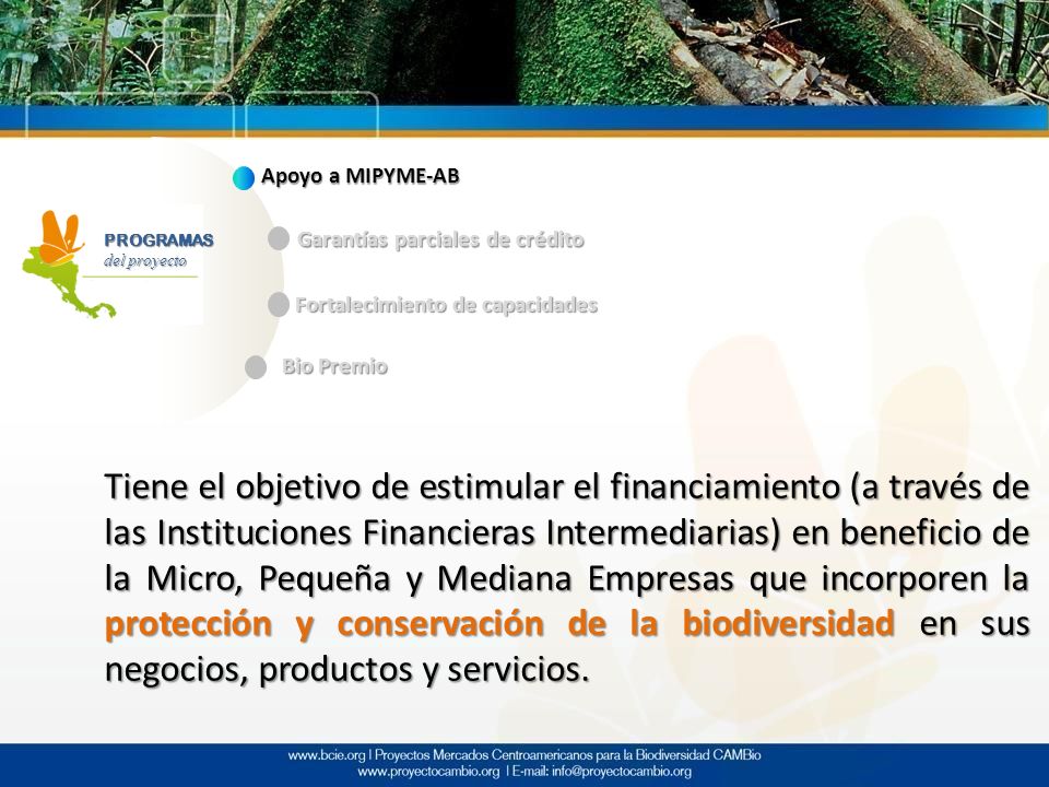 Apoyo a MIPYME-AB Garantías parciales de crédito. PROGRAMAS. del proyecto. Fortalecimiento de capacidades.