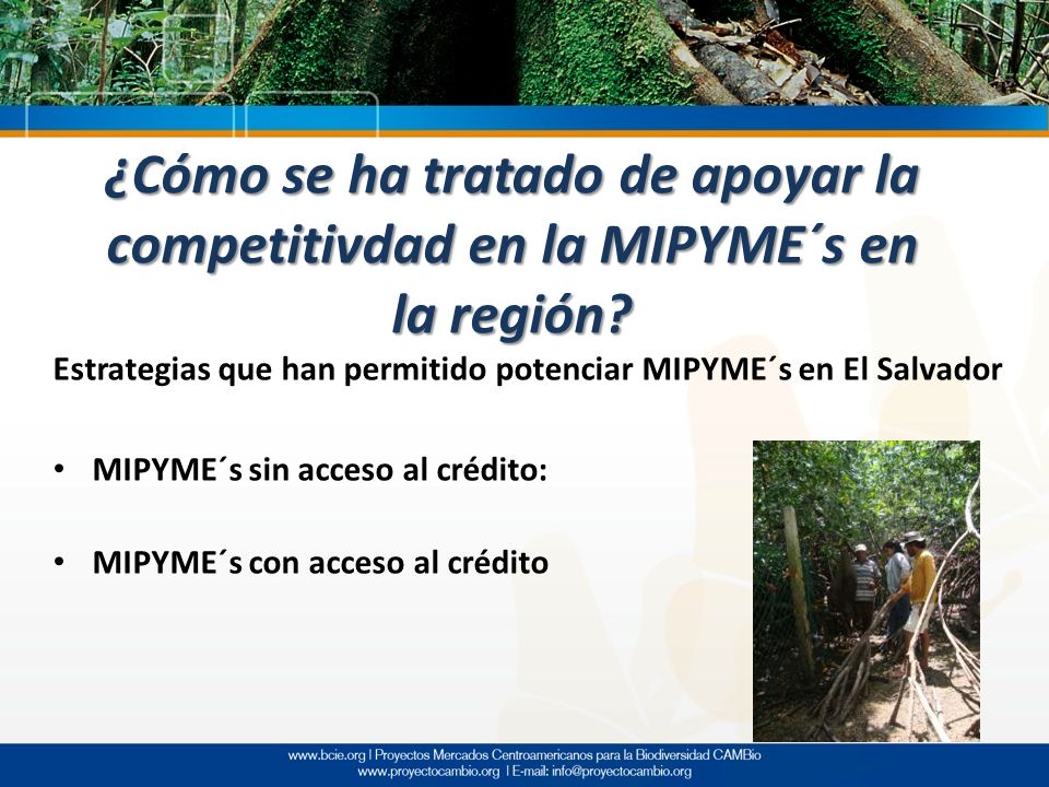 ¿Cómo se ha tratado de apoyar la competitivdad en la MIPYME´s en la región