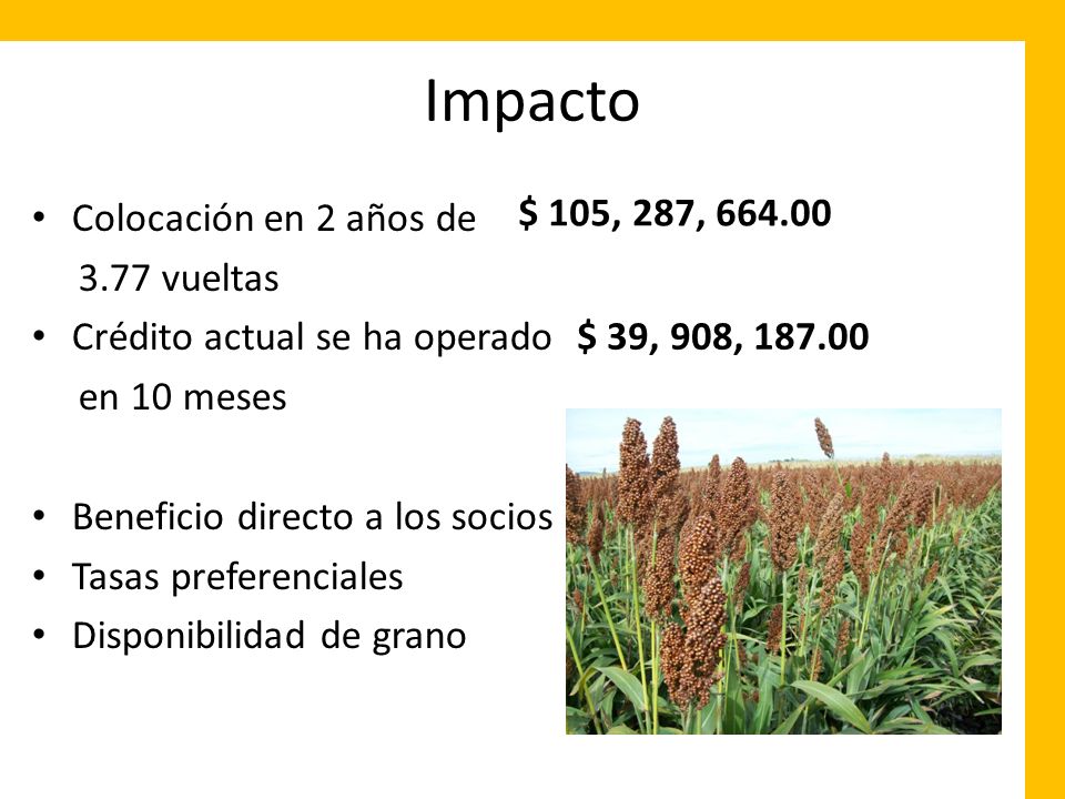 Impacto $ 105, 287, Colocación en 2 años de 3.77 vueltas