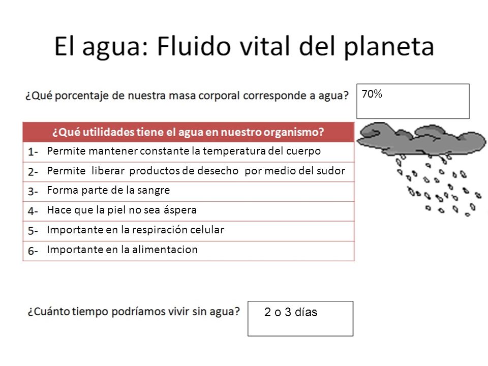70% Permite mantener constante la temperatura del cuerpo. Permite liberar productos de desecho por medio del sudor.