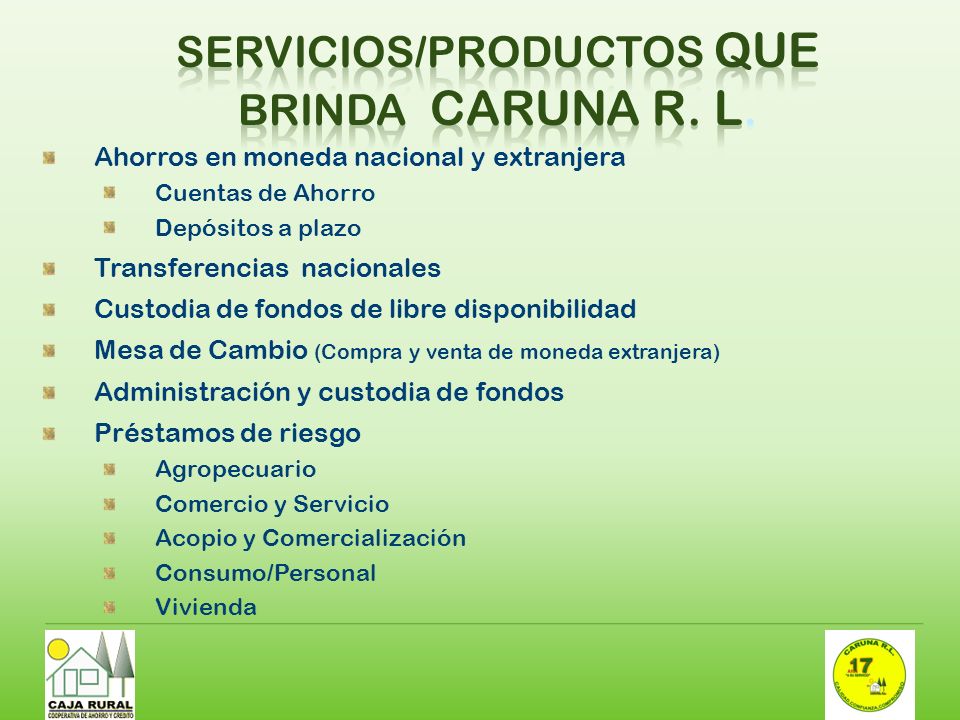 Servicios/productos que brinda CARUNA R. L.